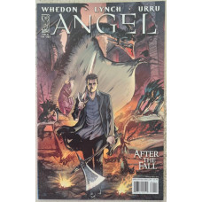 Angel: After the Fall #1 (2007)