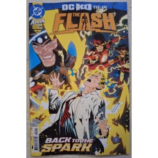 Flash #29A (2026)