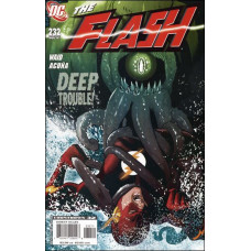 Flash #232 (2007)
