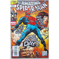 Amazing Spider-man #544 (2007)