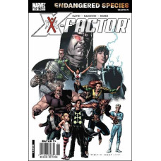 X-Factor #23 (2007)